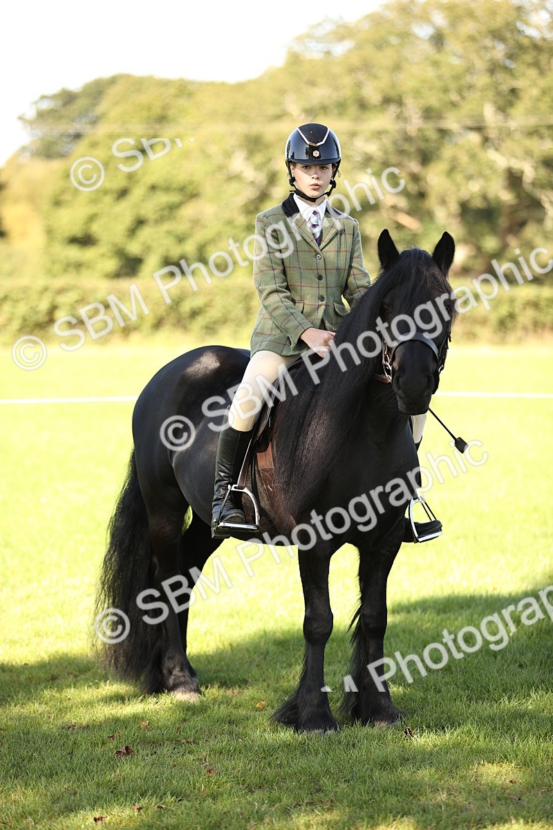 SBM_19116 - S3 - TSR Ridden Pony Showing