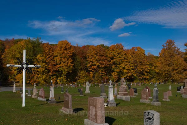 - Fall