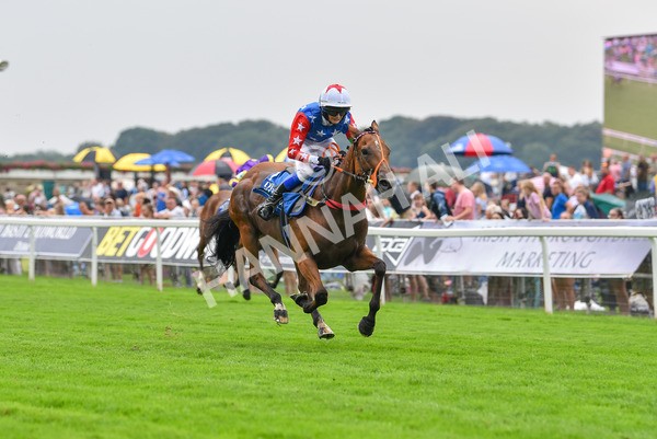 100923-Pony Race 1-Seal The Deal-1549 - Pony Race 1 12.25 The Dragon (TV and Film) Studios Pony Race 148cm & Under