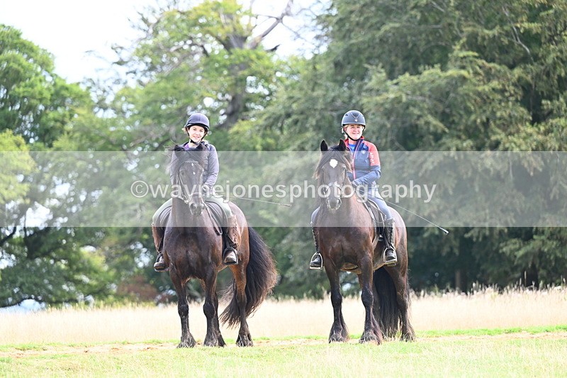 DSC_4100 - Time at Statue 09:50 to 11:09