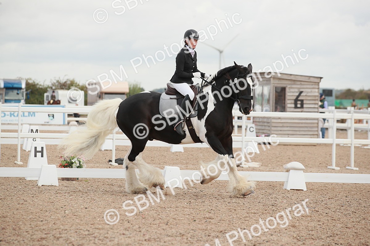 SBM_03833 - Class 31 - Prelim 1