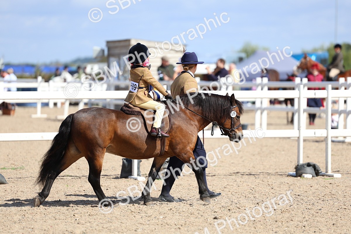 SBM_13126 - Class 309 - Lead Rein Pony