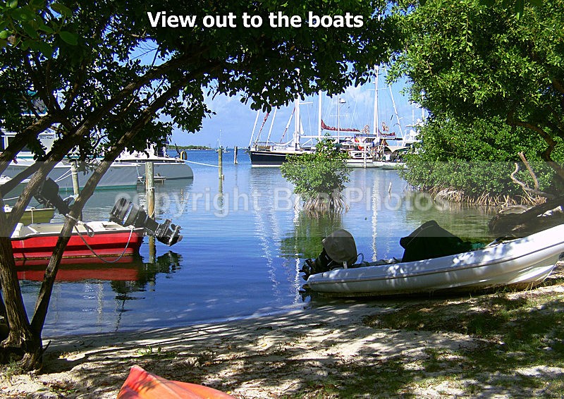 View to the boats PICT0009 - MEXICO 2013-2014