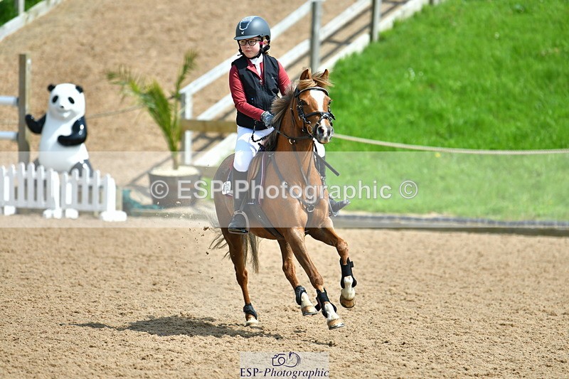 230513A-131213-01015 - Cls 34+35 Club 60cm