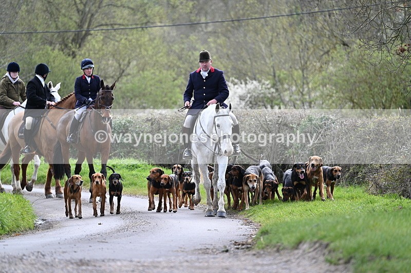 WJ7_9761 - Walk Home