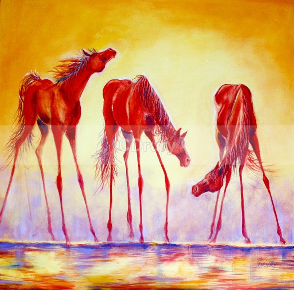 Carefree - AVAILABLE PRINTS and Notecards