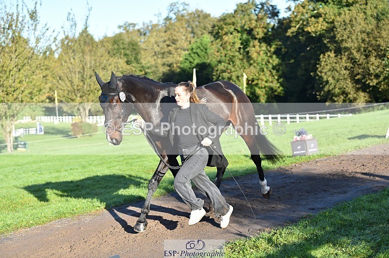 231022-092600-21784 - 632-ANGELL'S.CHOICE-Saffron.Cresswell-TrotUp+SJ