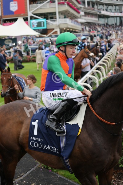 yr20082021r4-79 - Race 4 3.35pm Coolmore Wootton Bassett Nunthorpe Stakes (British Champions Series Race)