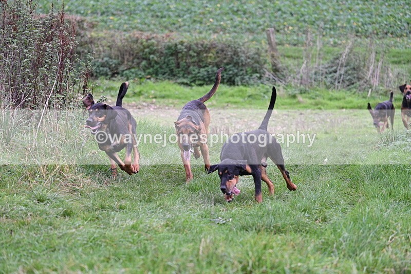 WJ7_8906 - Camera 1 only on this line