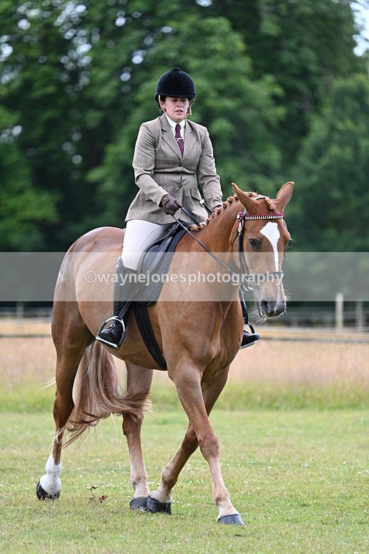 WJ7_9080 - Class 8 Ridden Veterans