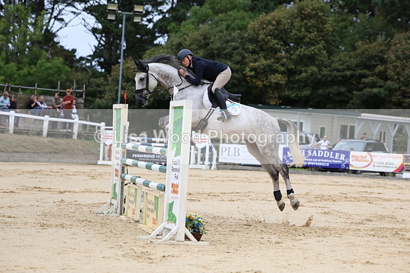 3E7A3320 - Class 9: Senior Foxhunter/1.20 open
