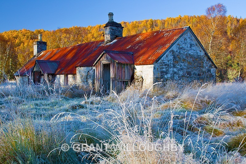 Autumn scene 2 - Horizontal