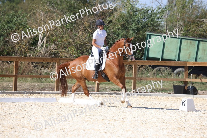 20260905-1537 - Class 5 - Novice 2