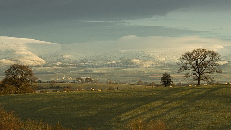 Long Shadows, Eden Valley - Cumbria