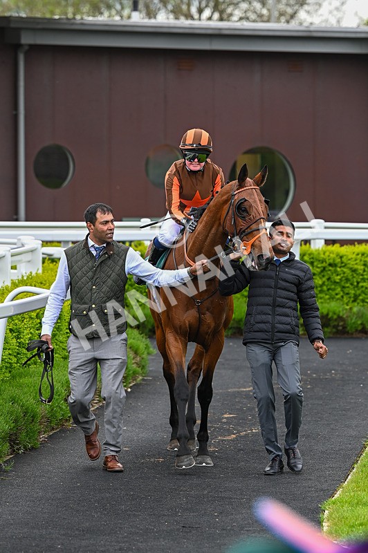 210526-Race 4-Analogical-4489 - Race 4 15.40pm Get Raceday Ready Handicap