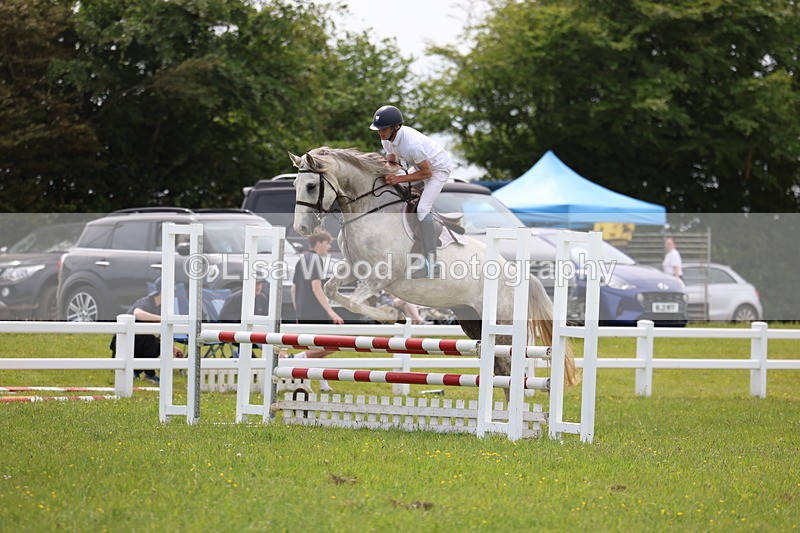 3E7A1637 - Class 13: Senior British Novice/90cm open