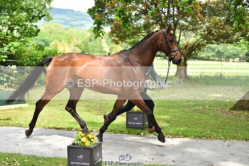 240522-150022-00036 - 301-CAMOUFLAGE-Alexander_Bragg