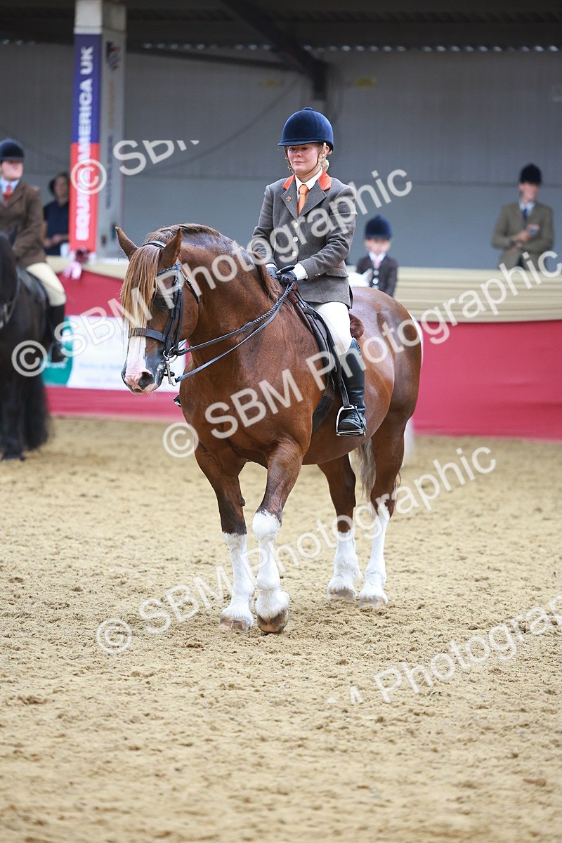 SBM_12686 - Class 103 - HOYS Veteran Qualifier - Ridden Pre Vet
