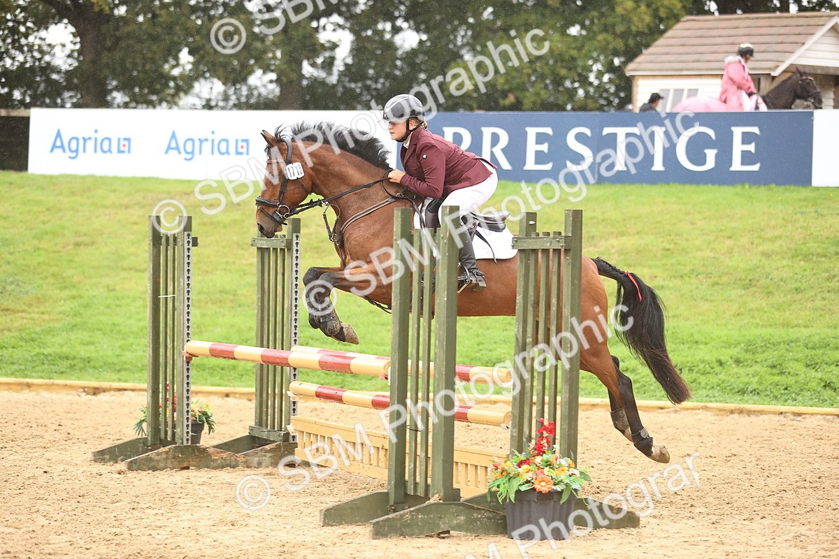 SBM_73450 - J19 - Junior Horse & Pony 90cm Supreme championship