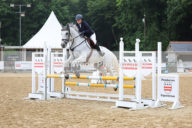 3E7A5430 - Class 4: Senior British Novice/90cm open