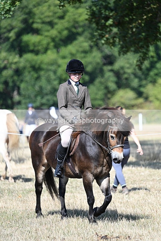 WJ7_3402 - Class 9 Mountain & Moorland Ridden