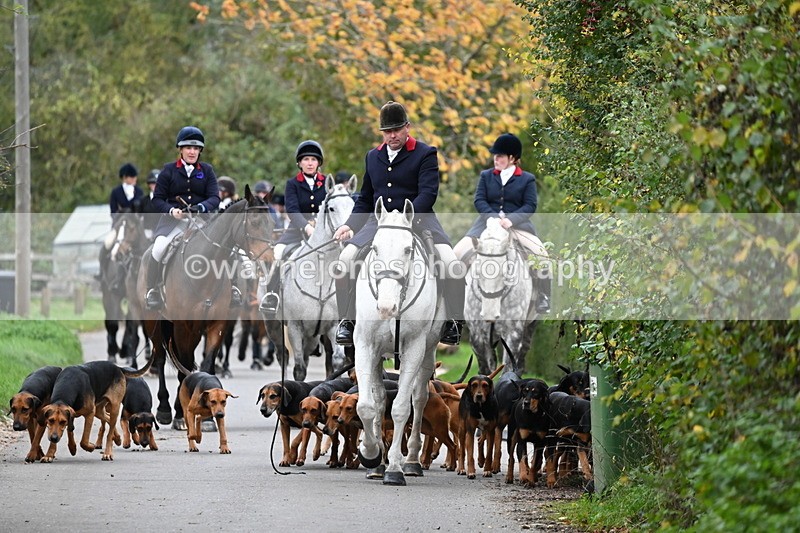 WJ6_8304 - Walk Home..