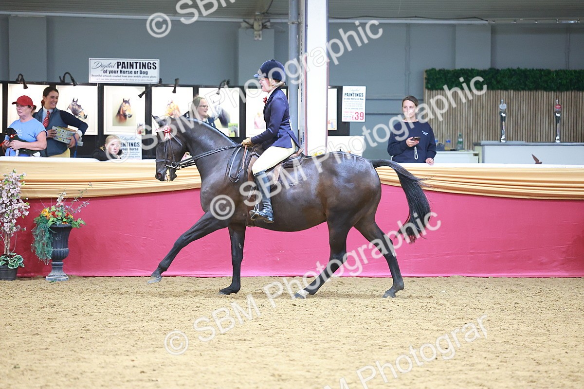 SBM_06227 - Class 12R - Ridden Pre-Vet