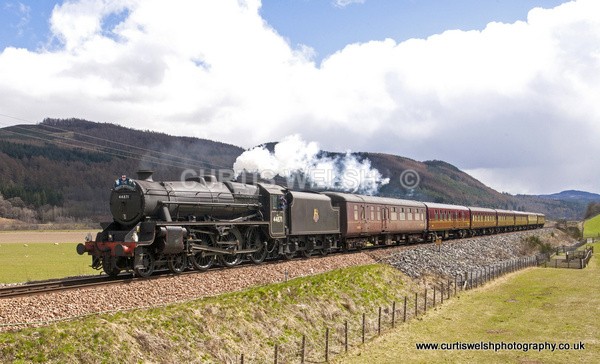 15 - THE SCOTSMAN - READERS GALLERY