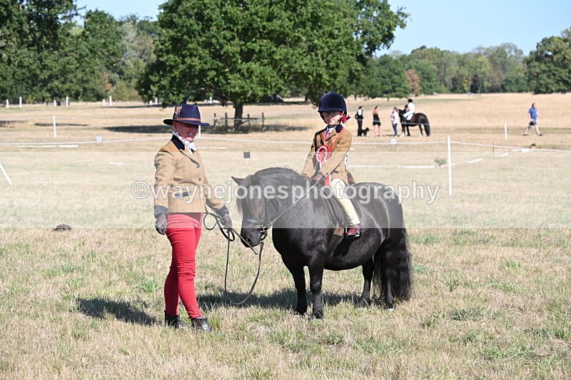 WJ6_7662 - Class 34 Judges Choice