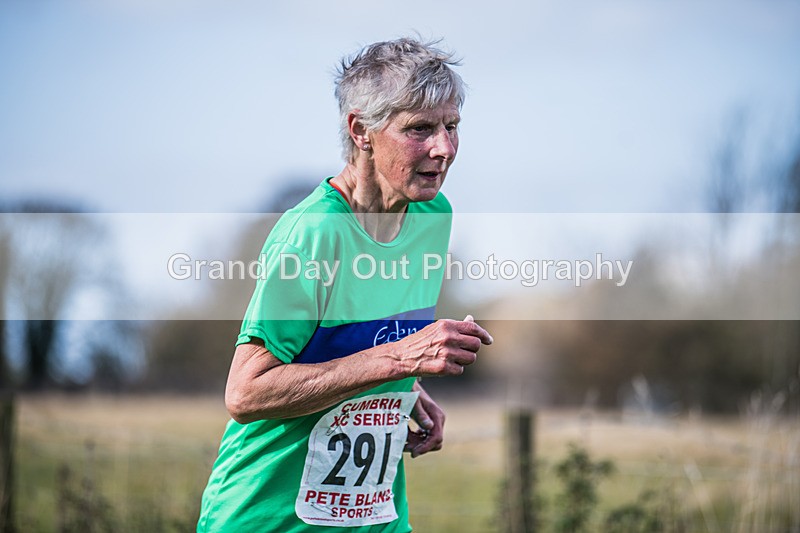 Cumbria XC-1113 - Cumbria XC League Workington Saturday 26th October 2024