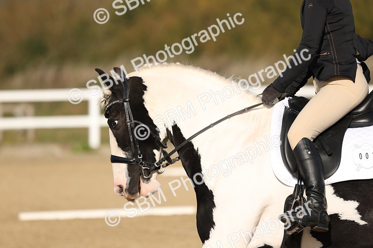 SBM_000264 - Class 1-8-9-6-5 - MQ U21-Open Intro 1 P2 N1 P1