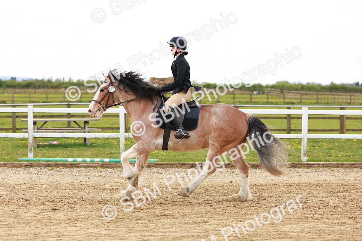 SBM_004173 - Class 3 - 60cm