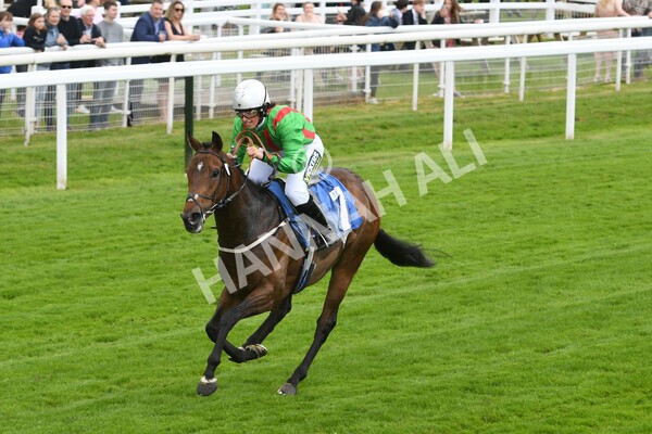 yr11062022r1-146 - Race 1 12.45pm Macmillan Ride of Their Lives, supported by Sky Bet