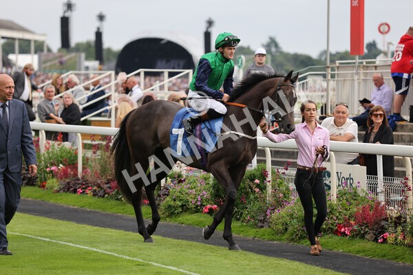 yr24072021r7-21 - Race 7 5.35pm The Sporting Life Fast Results Stakes