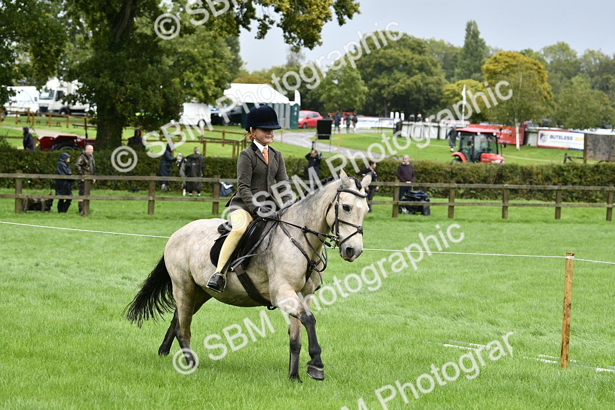 SBM_35552 - S30 - Nursery Stakes Working Hunter Pony