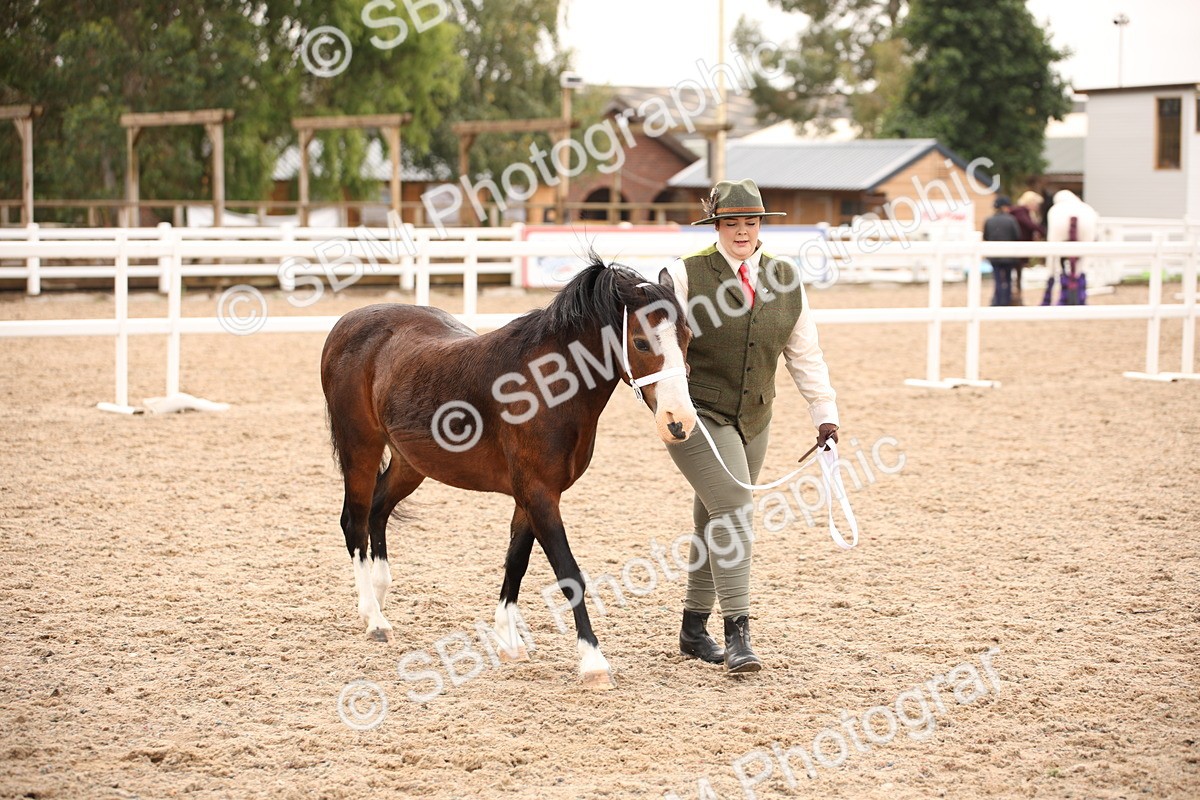 SBM_21510 - Class 706 - IH  Veteran