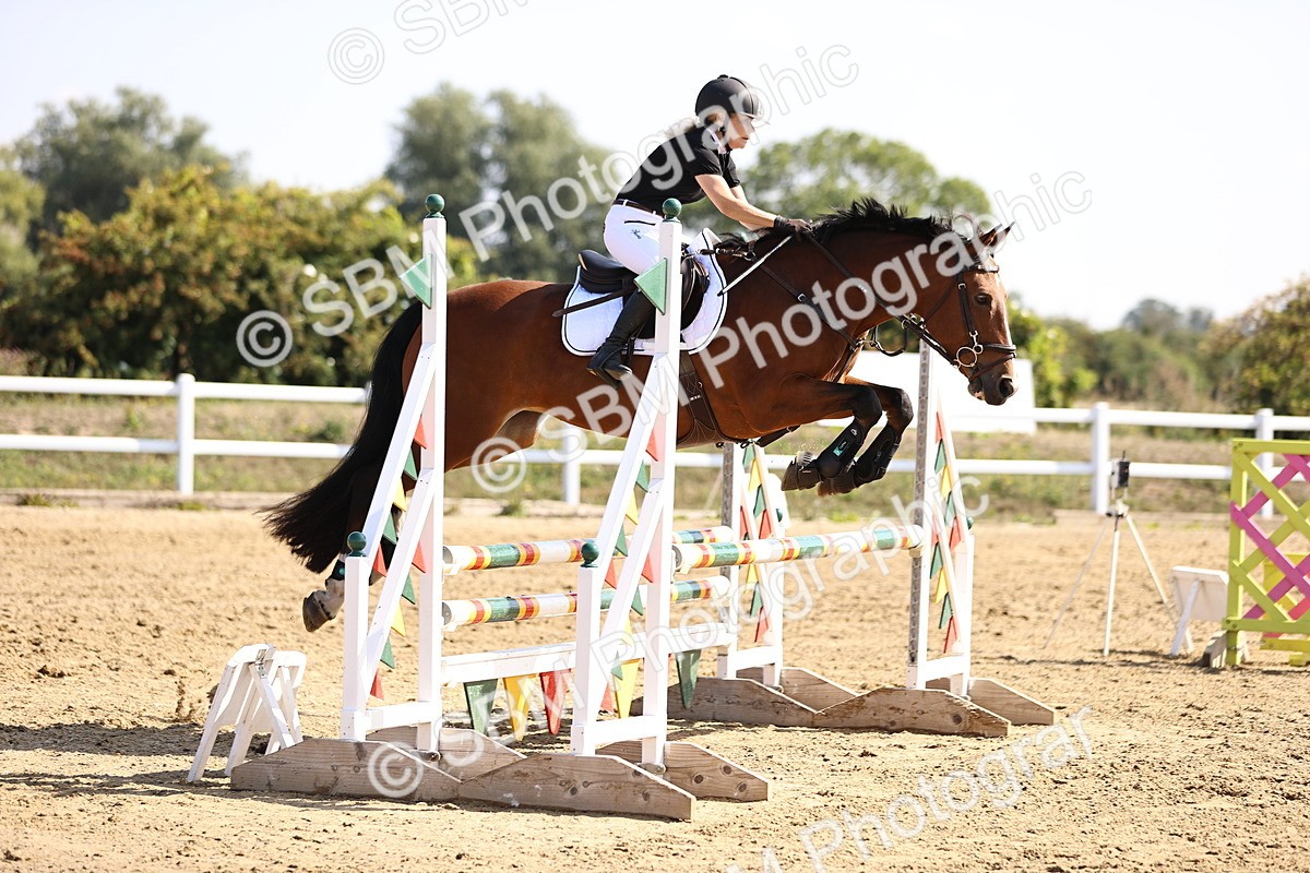 SBM_005724 - Class 9 - Senior British Novice - 90cm