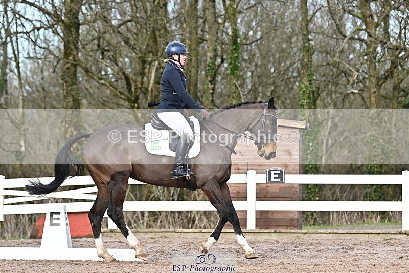 250125-131942-00611 - Dressage - CT Class 6 BE102