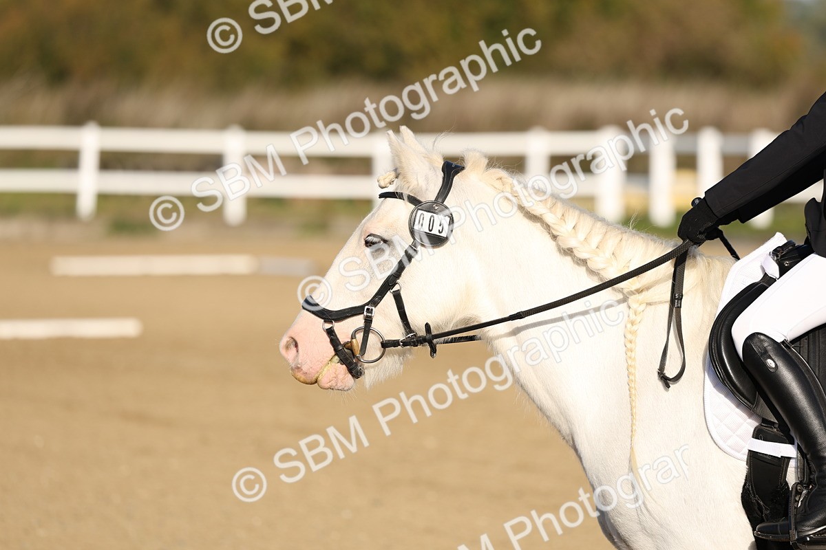 SBM_000215 - Class 1-8-9-6-5 - MQ U21-Open Intro 1 P2 N1 P1