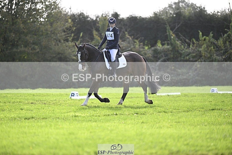 241025-120339-07006 - 374-Bella.Balian-BEECHWOOD.JOEY