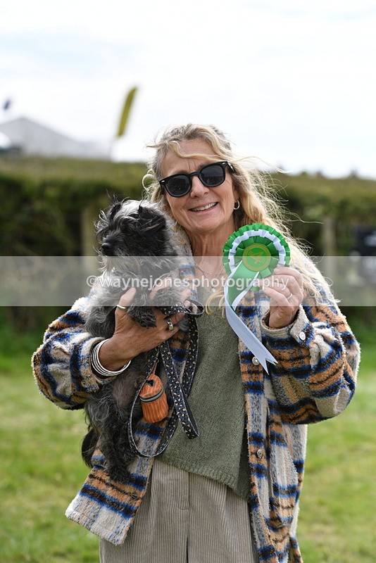 WJ5_9879 - Class 3 Most Handsome Dog