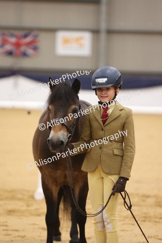 20260913-1137 - Class 110 - Bred In Other In Hand