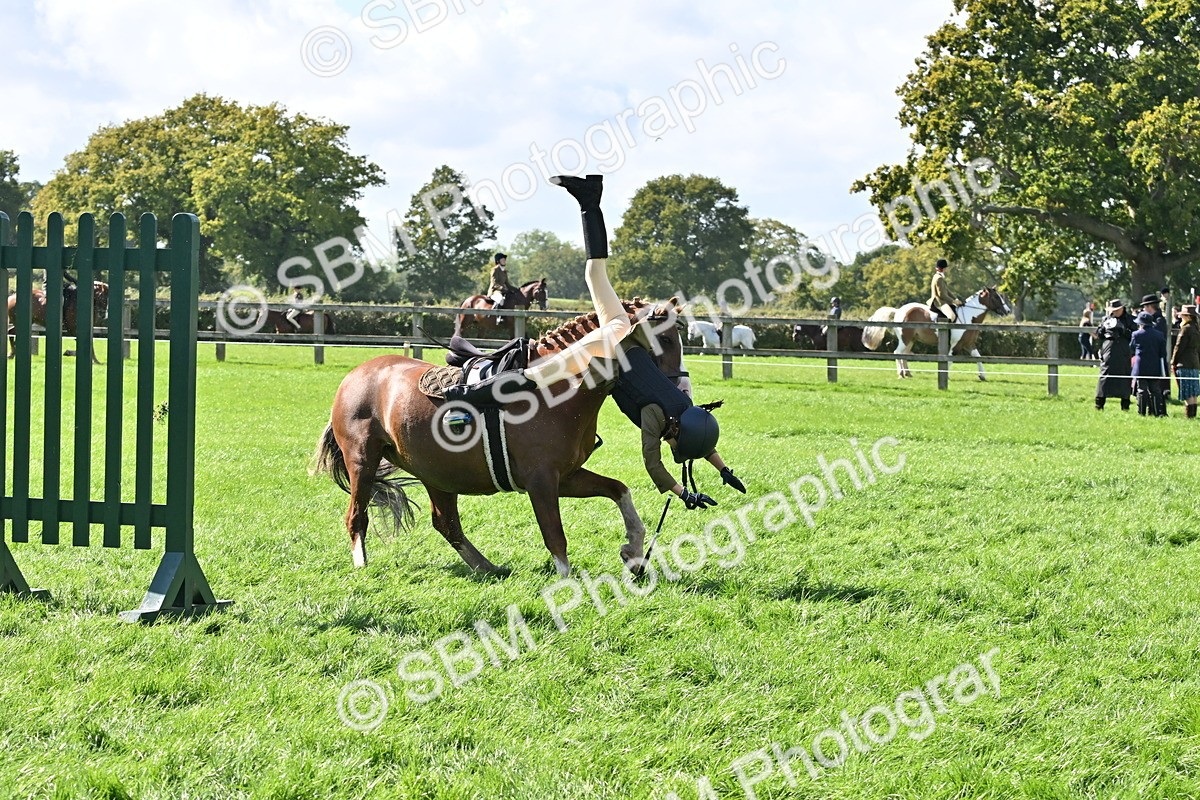 SBM_44537 - S13 - Pony Club Pony