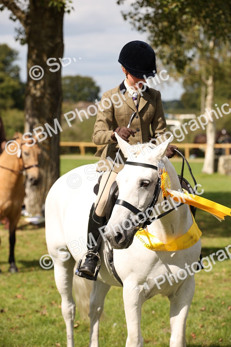 SBM_42388 - S13 - Pony Club Pony