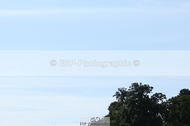 250823A-135805-31427 - Arena D