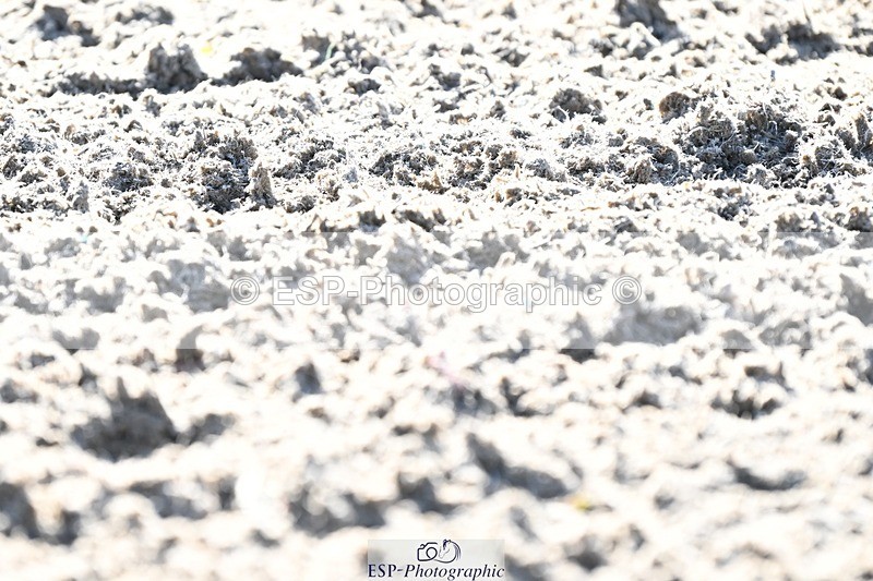 231110-121658-00633 - Cls 3 Novice 22