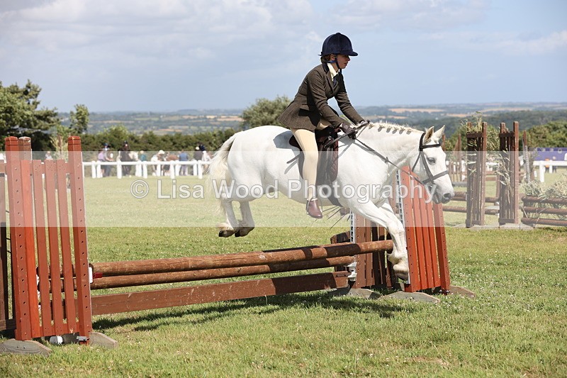 JPP_2234 - Class 19: Working Hunter 60cm