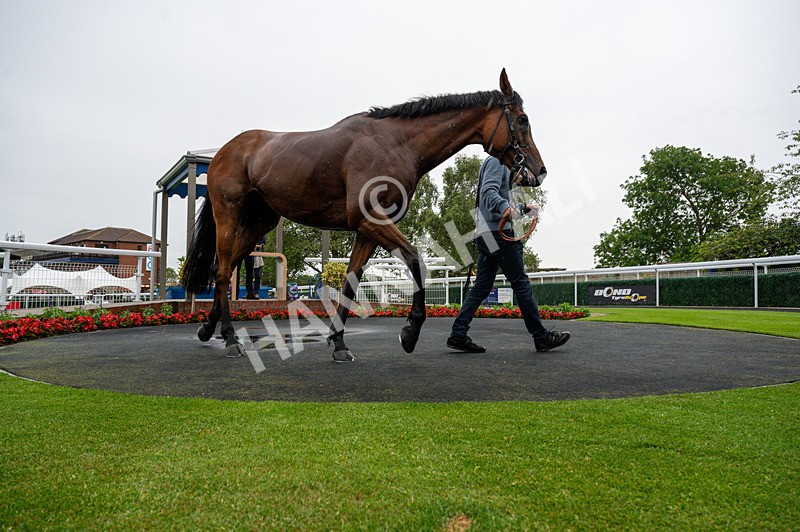 040725-Race 3-Orbaan-1463 - Race 3