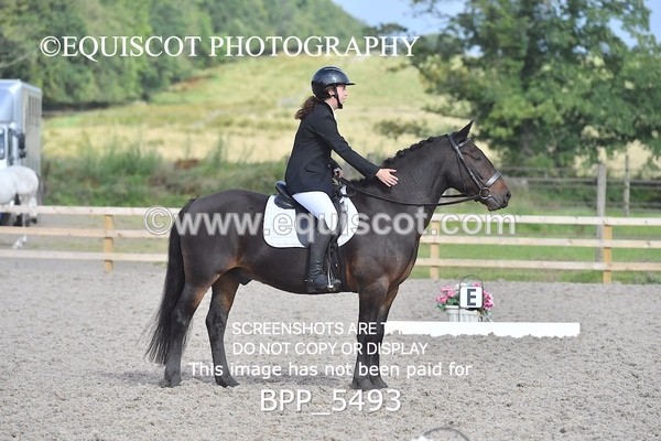 BPP_5493 - INTRO TEST 3