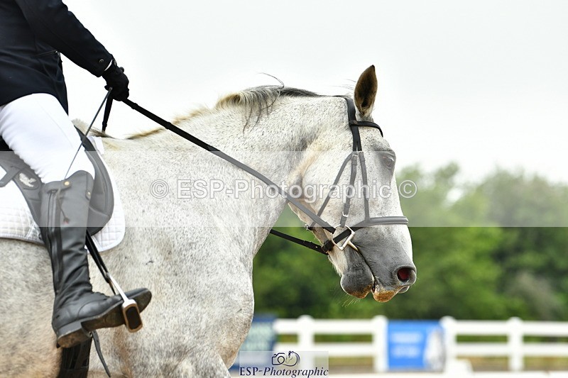 230708A-110503-02481 - Prelim 13